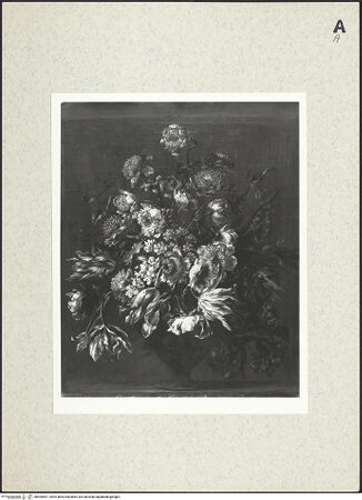 Vorderseite von bh405467_recto