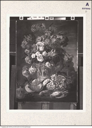 Vorderseite von bh405525_recto