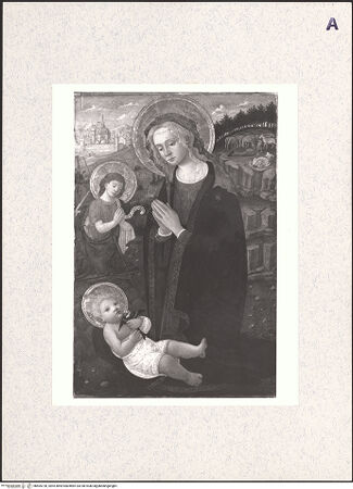 Vorderseite von bh405728_recto