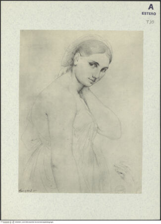 Vorderseite von bh405831_recto