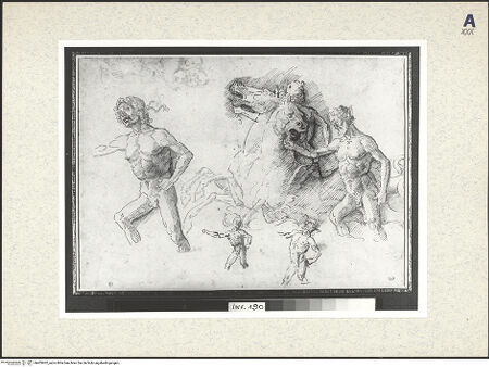 Vorderseite von bh405902_recto