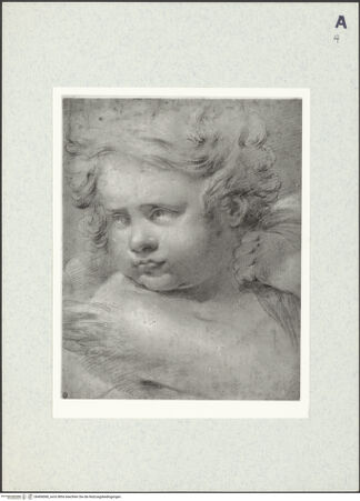 Vorderseite von bh406068_recto