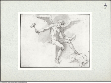 Vorderseite von bh406081_recto