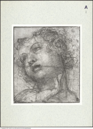 Vorderseite von bh406218_recto