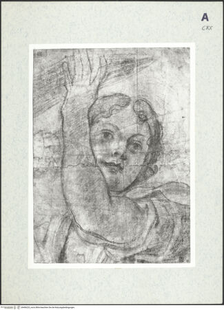 Vorderseite von bh406223_recto