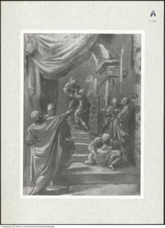 Vorderseite von bh406231_recto