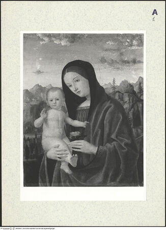 Vorderseite von bh406467_recto