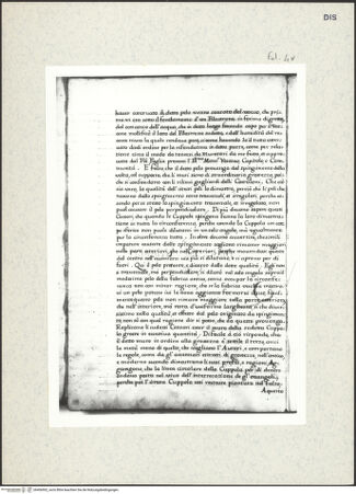 Vorderseite von bh406902_recto