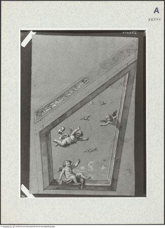 Vorderseite von bh406955_recto