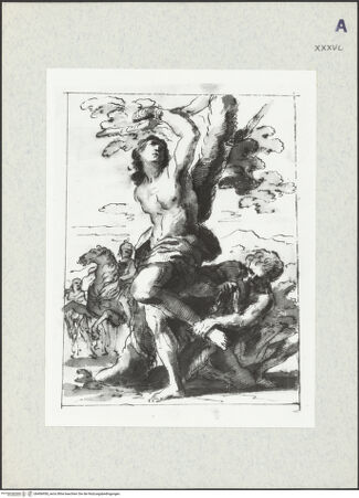 Vorderseite von bh406958_recto