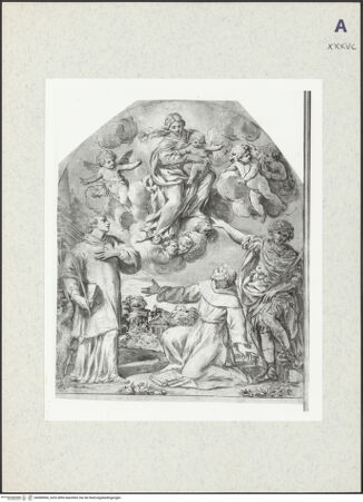 Vorderseite von bh406960_recto