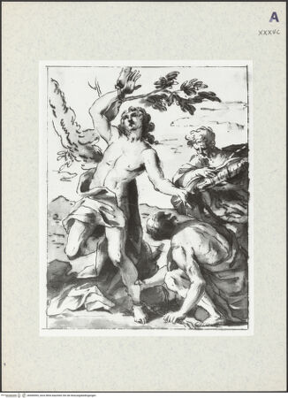 Vorderseite von bh406969_recto