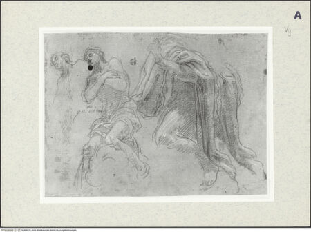 Vorderseite von bh406979_recto