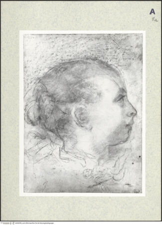 Vorderseite von bh406990_recto