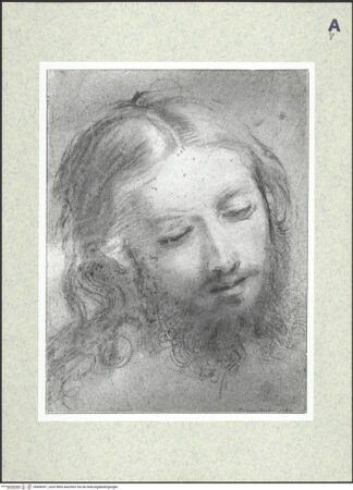 Vorderseite von bh406991_recto