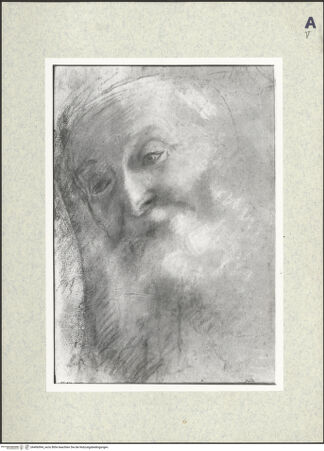 Vorderseite von bh406994_recto