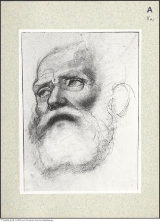 Vorderseite von bh406995_recto