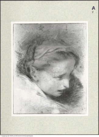 Vorderseite von bh406996_recto