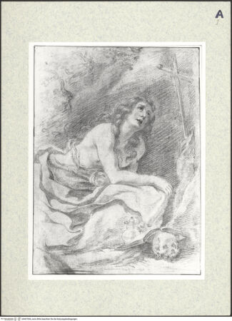 Vorderseite von bh407006_recto