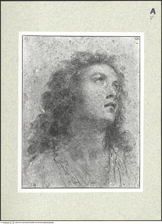 Vorderseite von bh407016_recto