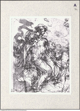 Vorderseite von bh407025_recto