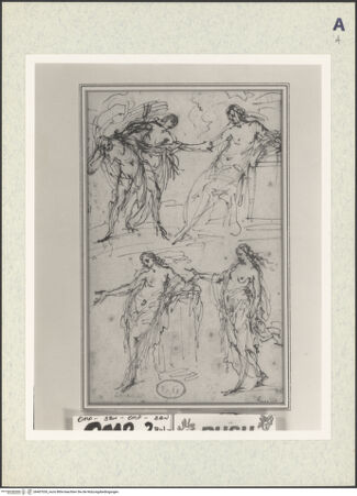 Vorderseite von bh407030_recto