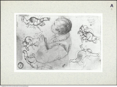 Vorderseite von bh407063_recto