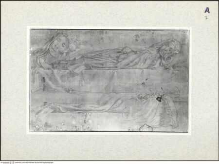 Vorderseite von bh407064_recto