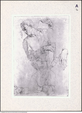 Vorderseite von bh407069_recto