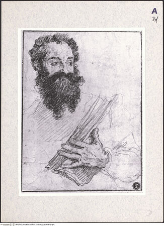 Vorderseite von bh407092_recto