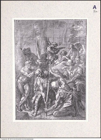 Vorderseite von bh407105_recto