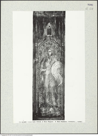 Vorderseite von bh407132_recto