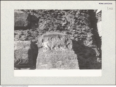 Vorderseite von bh407197_recto