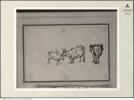 Vorderseite von bh407296_recto