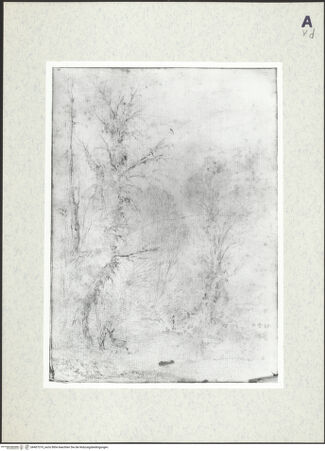 Vorderseite von bh407319_recto