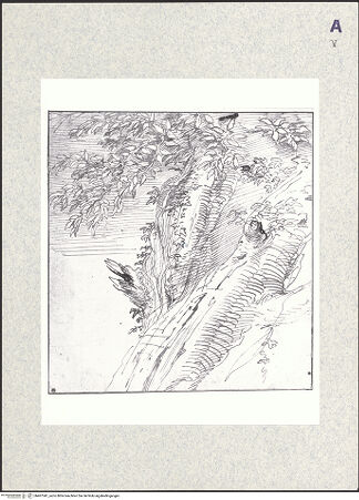 Vorderseite von bh407341_recto