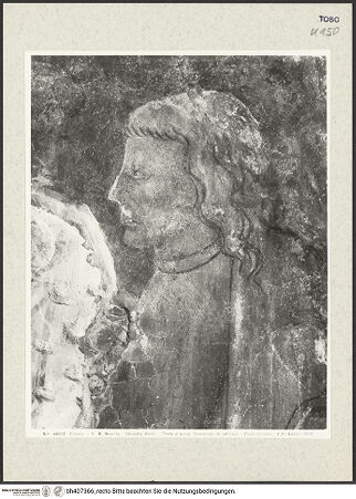 Vorderseite von bh407366_recto