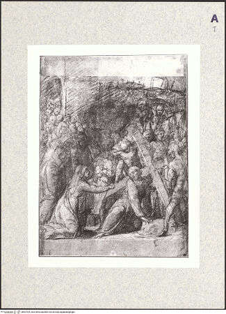 Vorderseite von bh407429_recto