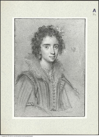 Vorderseite von bh407531_recto