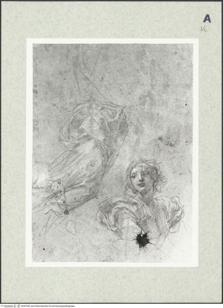 Vorderseite von bh407645_recto