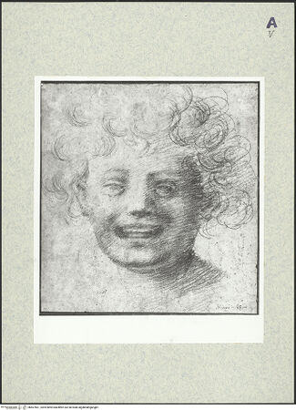 Vorderseite von bh407661_recto