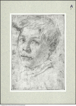 Vorderseite von bh407666_recto