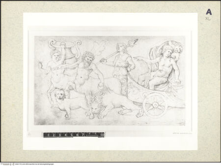 Vorderseite von bh407729_recto