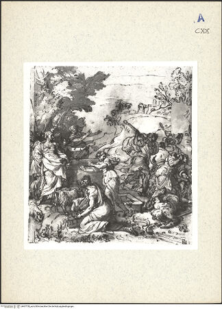 Vorderseite von bh407758_recto