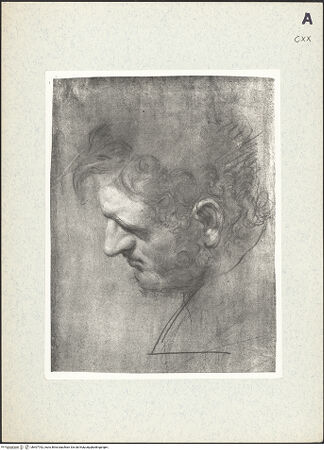 Vorderseite von bh407762_recto