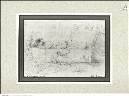 Vorderseite von bh407801_recto