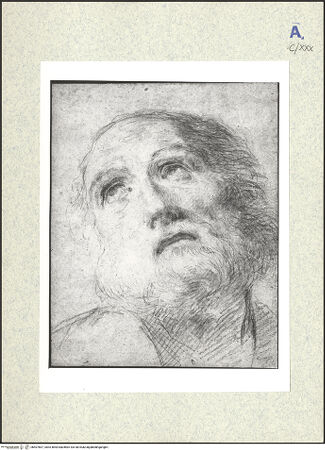 Vorderseite von bh407807_recto