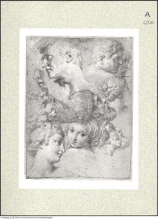 Vorderseite von bh407814_recto