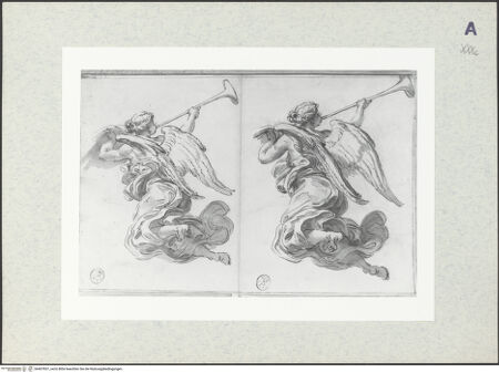 Vorderseite von bh407837_recto