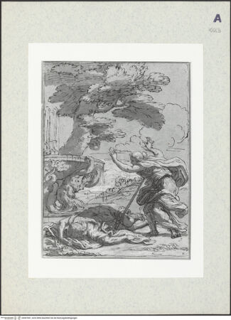 Vorderseite von bh407847_recto